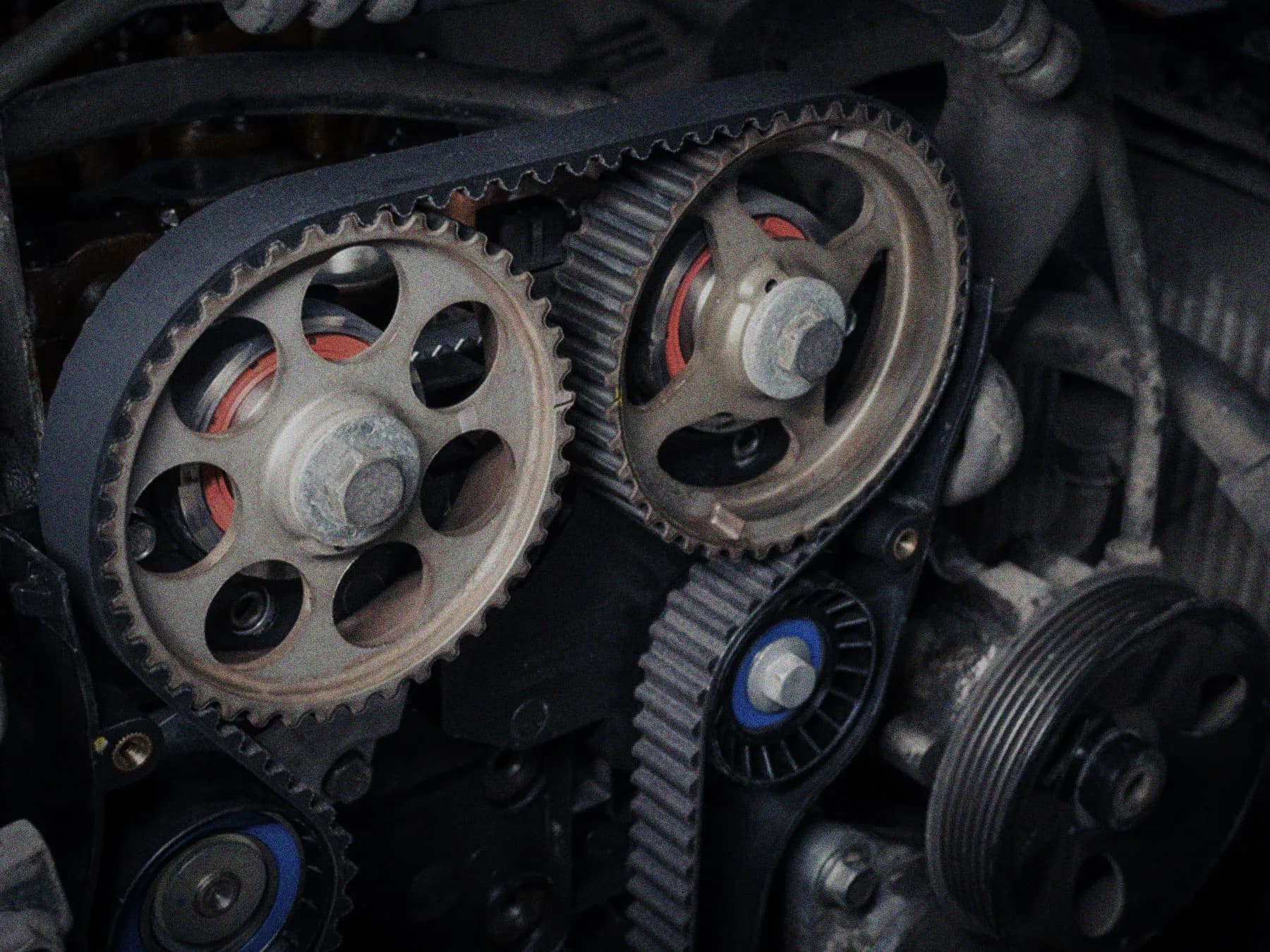 Modern engine with a wet timing belt at West Auto in Newcastle
